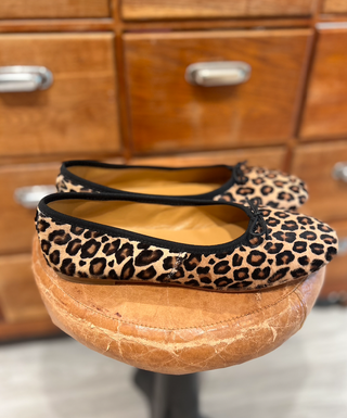 Lolo Ballerina - Volcano Cavallino - Wildcat