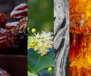 PIERRE GUILLAUME PARIS - Volupte Noire 50ML