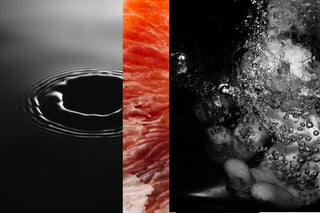 PIERRE GUILLAUME PARIS - MECANIQUE DU DESIR 50ML// UT AV ASSORTIMENT