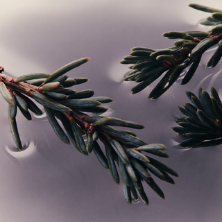 AESOP - Eleos Nourishing Body Cleanser 180ml