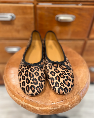 Lolo Ballerina - Volcano Cavallino - Wildcat