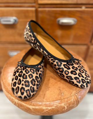 Lolo Ballerina - Volcano Cavallino - Wildcat