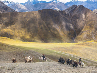 AIAYU - Franco - Pure Dark Brown