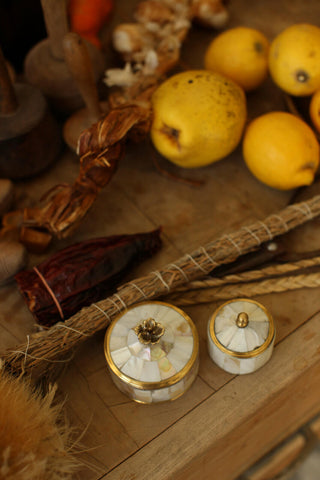 DOING GOODS - Maisie Circus Box Medium Pearly