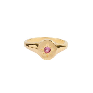 All The Luck in the World - Oasis Goldplated Ring Signet - Pink Star