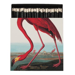 Archivist - American Flamingo Matches