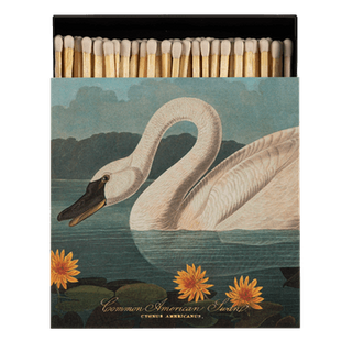 Archivist - Common American Swan Matches