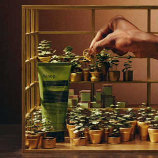 AESOP - Geranium Leaf Trio