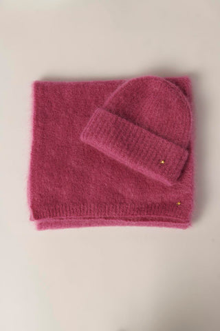 DES PETITS HAUTS - Alan Beannie - Framboise