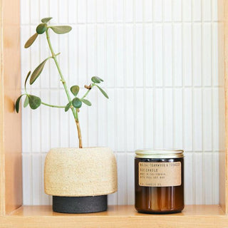 PF CANDLE CO. - NO.4 Teakwood and Tobacco - Standard