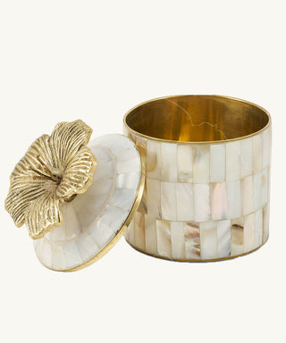 DOING GOODS - Hailey Hibiscus Circus Box Large Pearly